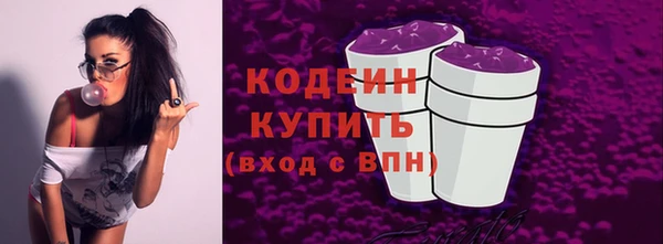 гашик Михайлов
