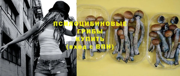 гашик Михайлов