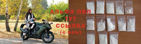гашик Михайлов