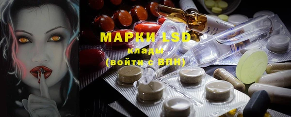 гашик Михайлов