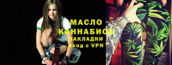гашик Михайлов