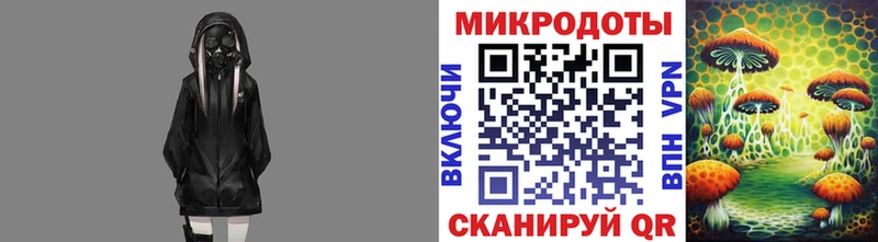 Псилоцибиновые грибы Cubensis  цены   Нолинск 